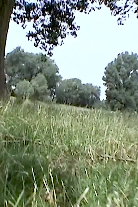 Bana Kıllı Vajini Göster