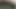 Jade-coquine : Pretty naughty in the forest – striptease