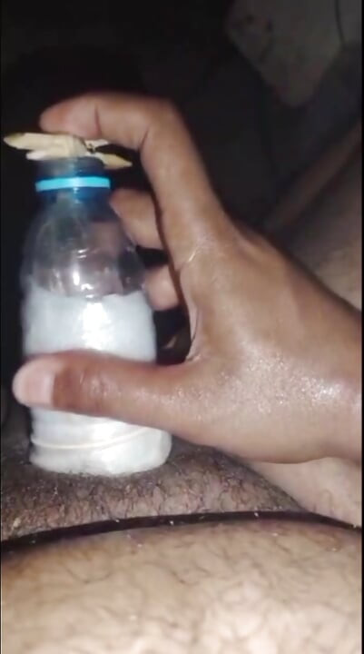 Sudanes cock