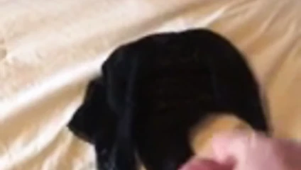 cumming içine senin külot