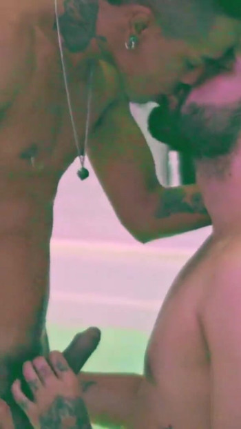 Pregled videozapisa
