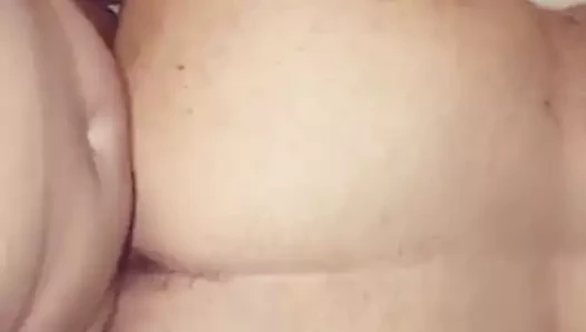 Köpek stili tam sürüm