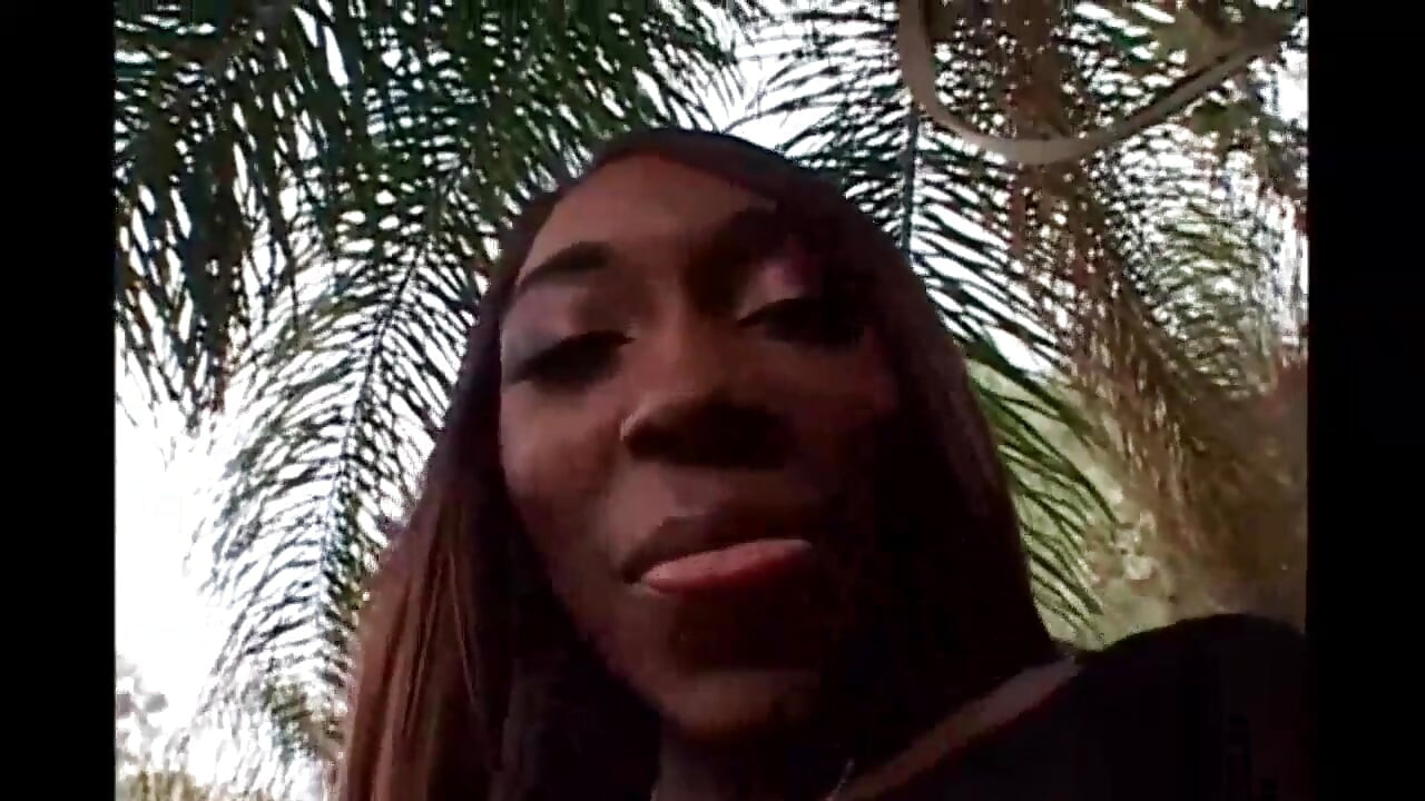 Sensationelles ebenholz wird von bbc hart gefickt