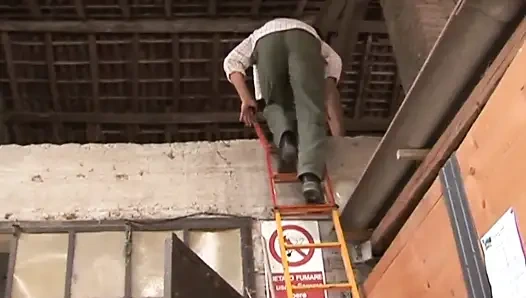 Ahırda Bir Eş Ve Arkadaş Yetiştirin