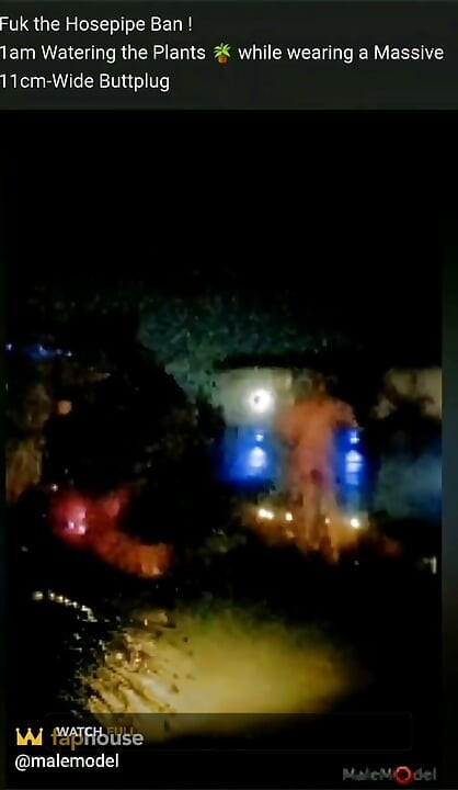 בשעה אחת בלילה עירומה בגינה עם פלאג אנאלי