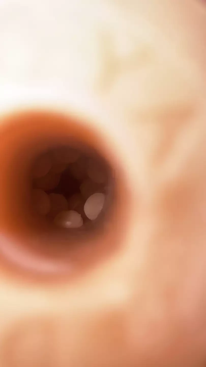 Fleshlight melken binnenin zicht