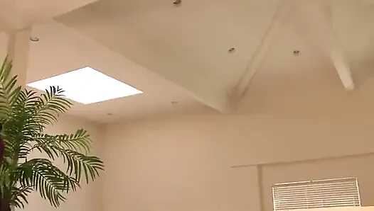 Big black cock sucking black pussy fucking