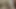 Düz göğüslü sarışın tatlı indi vibes onu klitoris ile bir oyuncak