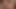 Porno 21430