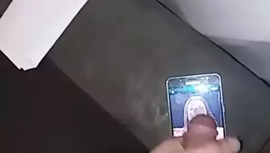 Ava gri haraç 2