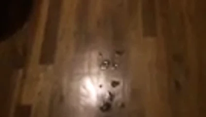 nyc kadınım nerede