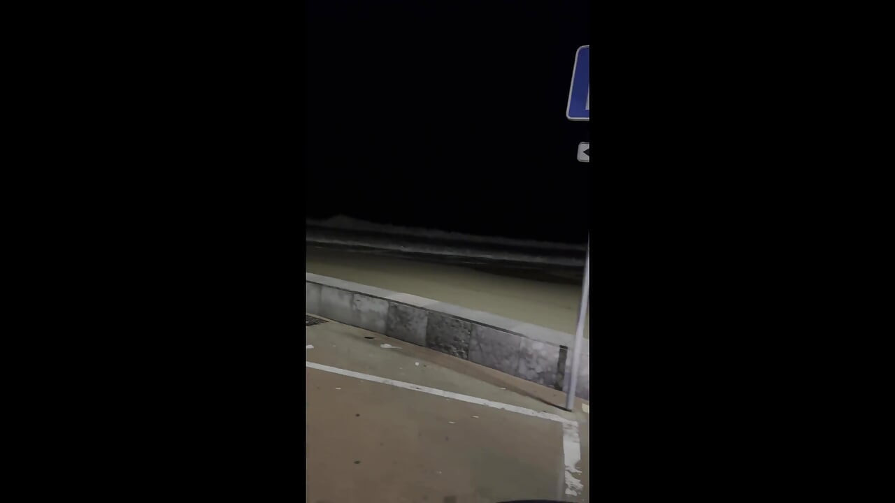 What Do You Say to Having Sex in the Car by the Beach?
