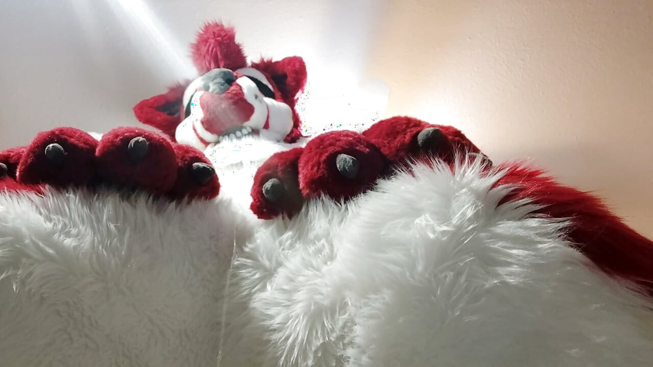Fursuit omorashi - wetting myself in my full-body murrsuit
