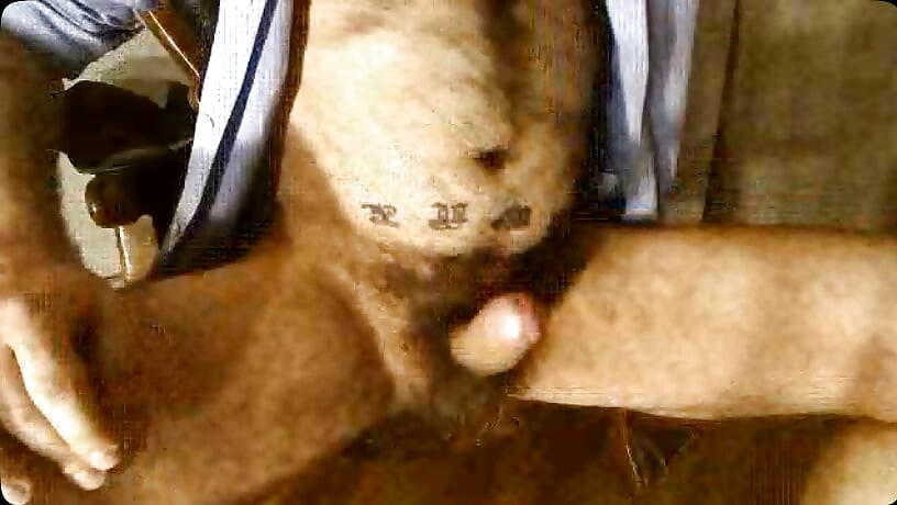 THE BIG DICK ON THE HAIRY STUD