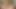 Big Dick As A Graduation Gift For Petite Teen Emily Willis