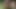 2 German Teens fucking public in Park with voyeur