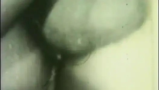 Соседская шлюха