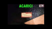 Pratonton Video