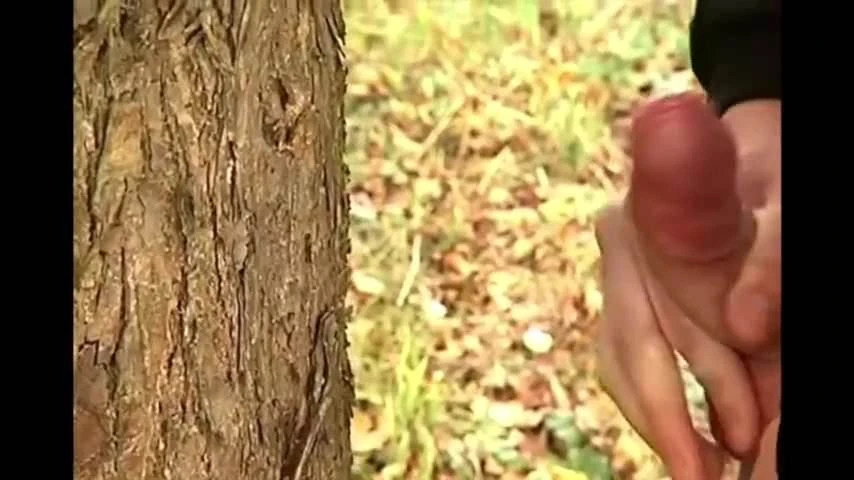 Порно Дрочит Член В Лесу Порно Дрочит Член В Лесу