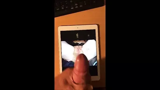 Neues haraç