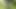 Kayınvalidem açık havada nasıl düzgün işeyeceğimi gösterdi