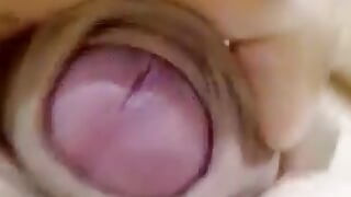 Pink Dick