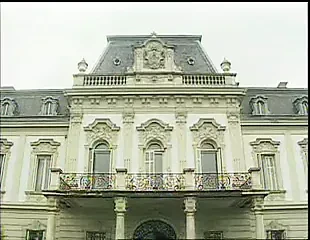 The mouth