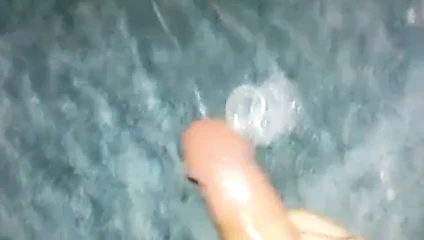 Büyük genç horoz sağladım