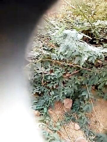 Desi bhabhi and dever sex in Indian forest...