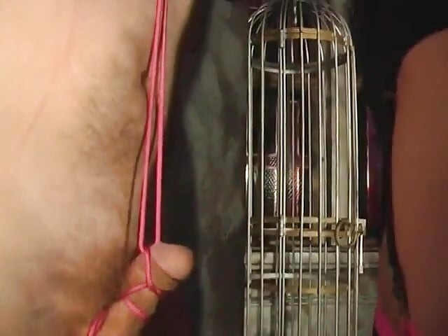 Sexy dominatrix slaps guy's ass and ties his cock and balls