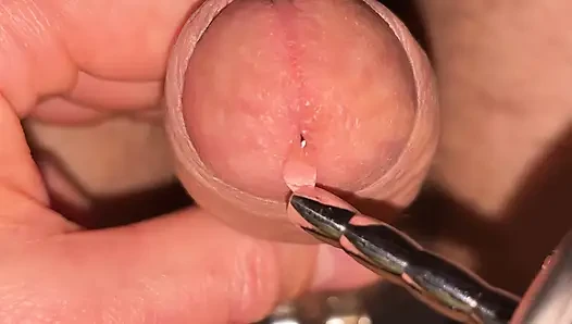 Küçük bekaret kafesini penis tıkacıyla mikro düz bekaret kafesine değiştiriyor