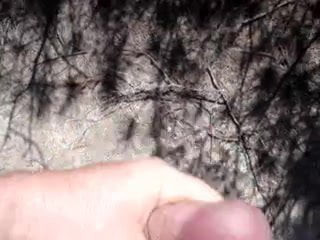 beach cum