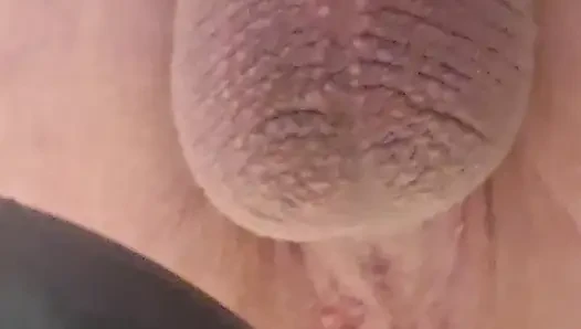Anal tıkaç yok