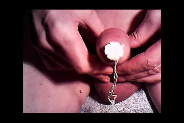 tampon in peehole insertion