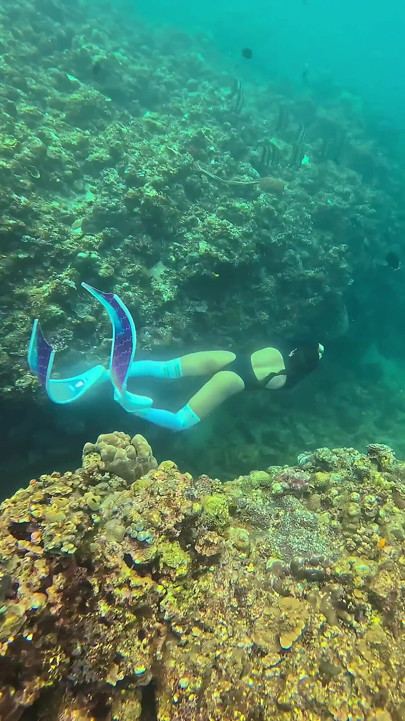 Im Your Little Mermaid