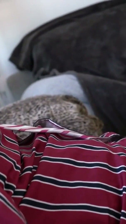 Dirty Old Man Fucks Babe Elena’s Pussy | Clip 1