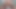 Dövmeli kız büyük dildoya biniyor büyük götünü sallıyor
