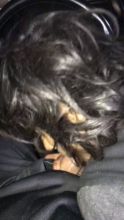 head blowjob