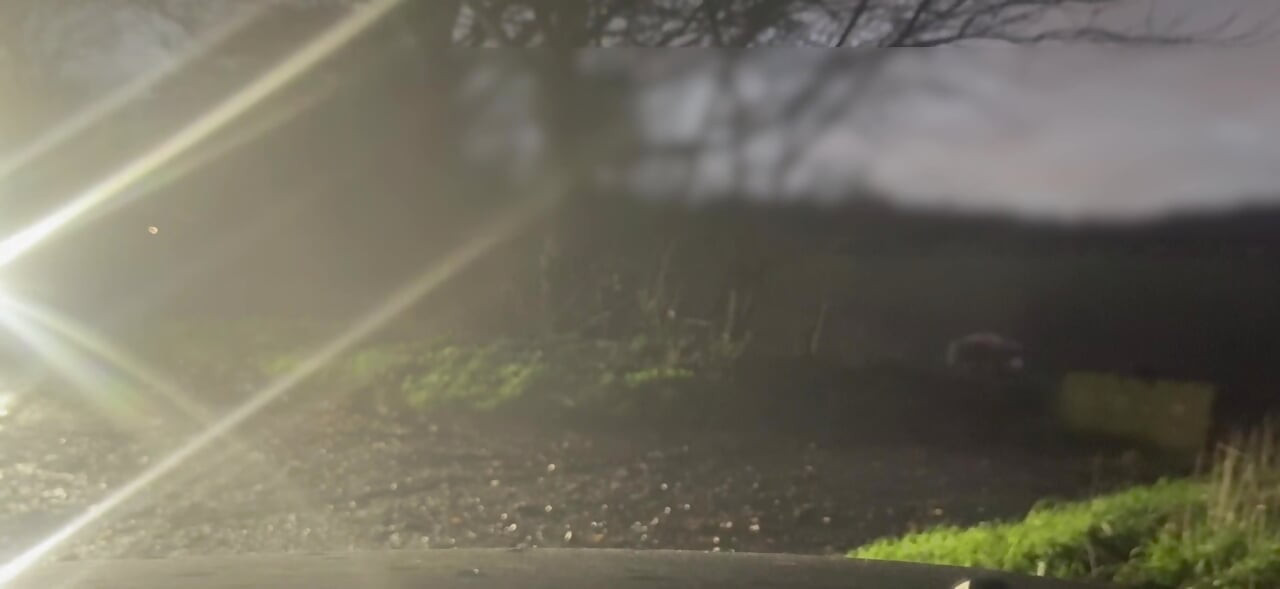 Meztelenül és mezítláb bujkálva az elhaladó autók elől