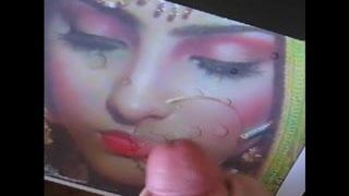 Gman komt klaar op het gezicht van een sexy Indisch meisje in Sari (eerbetoon)