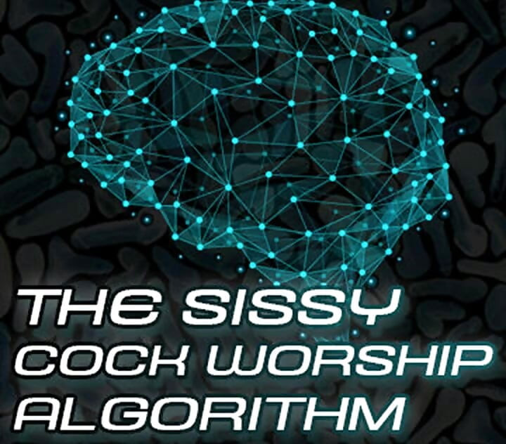 AUDIO ONLY - The sissy algorithm