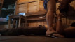 Pregled videozapisa