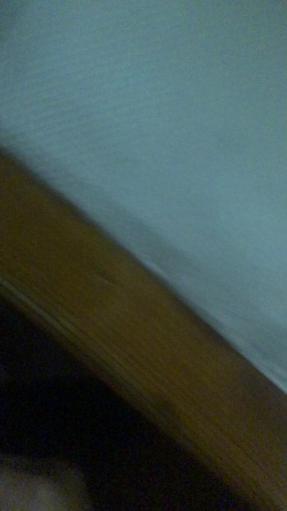 Cum tribute request 2