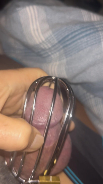 กรงใหม่ของ y