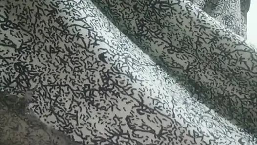 Desi Schönheit im eleganten kleid - langsam necken &intensives solospiel - kein gesicht - 4K ultra HD