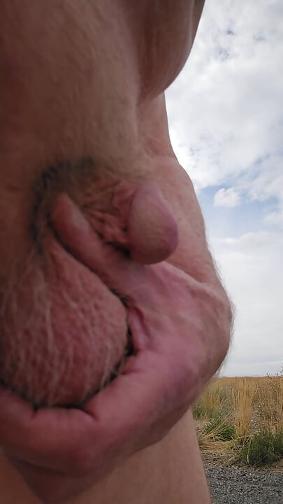 Outstanding in the Field