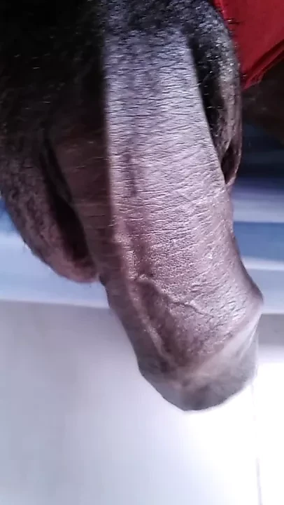 SEE HOW TO DEVELOP AN UNSHAKABLE, ROCK-HARD DICK, XHAMSTER VIDEO 255