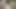 Öffentliche Hardcore-bdsm-session: Nackt Und an Einen Baum Im Wald Gefesselt (im Freien)