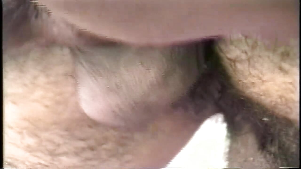 Shemale Heart Throbs 2