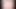 Erica Campbell - Sonnenblume
